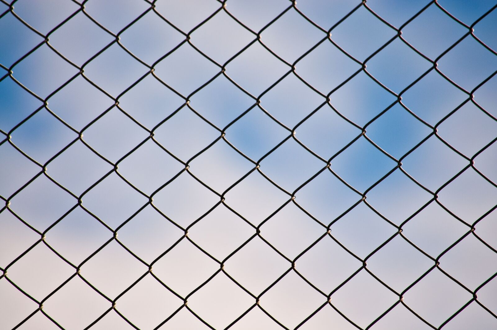 Nikon D90 sample photo. Wire, grid, web photography