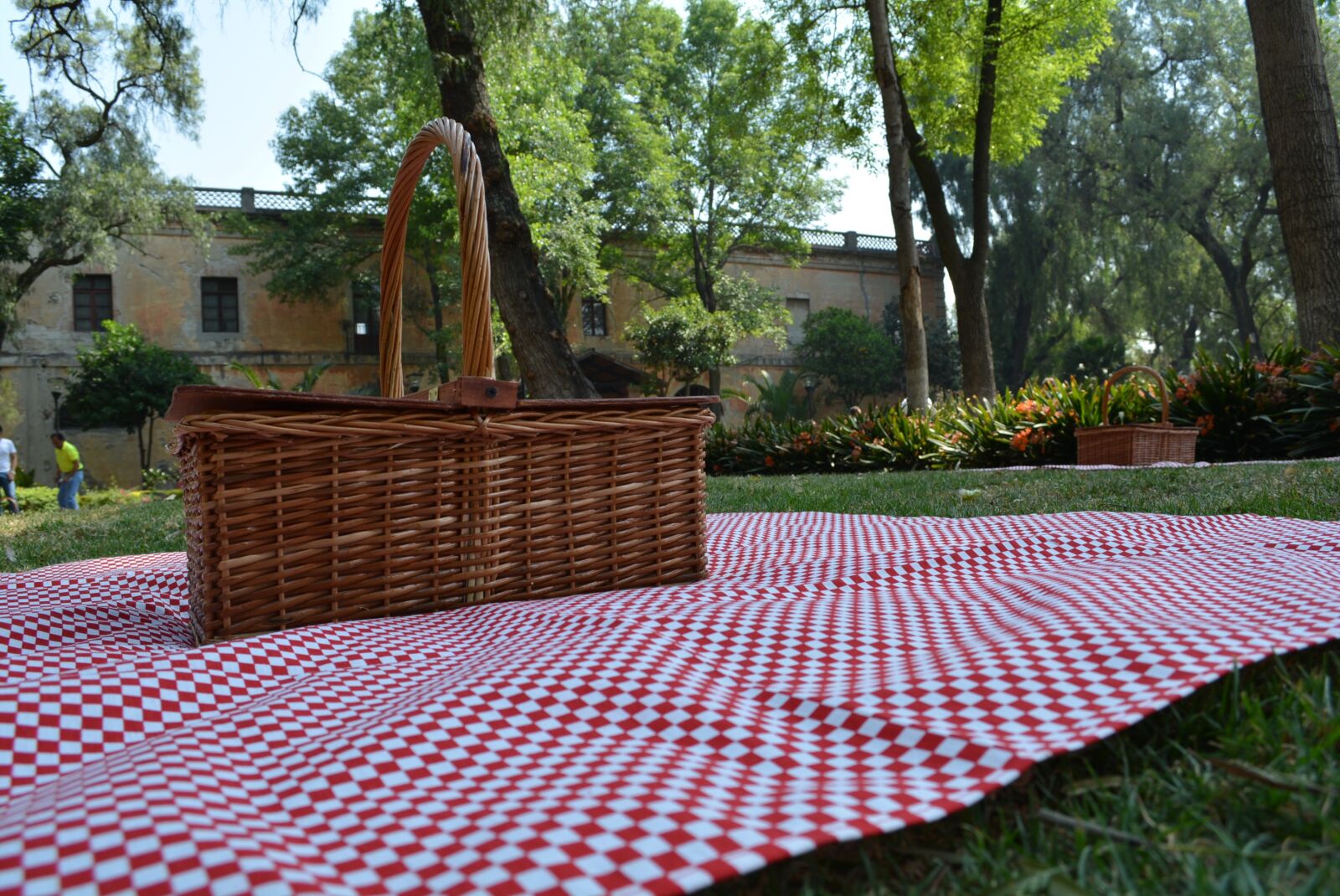 Nikon D5200 sample photo. Pic-nic, field day, basket photography