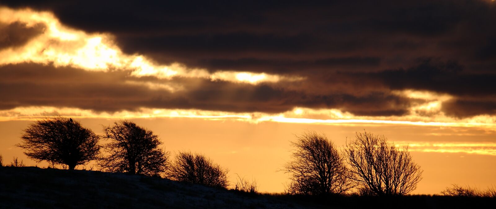 Canon EOS 400D (EOS Digital Rebel XTi / EOS Kiss Digital X) sample photo. Sol, sunrise, landscape photography