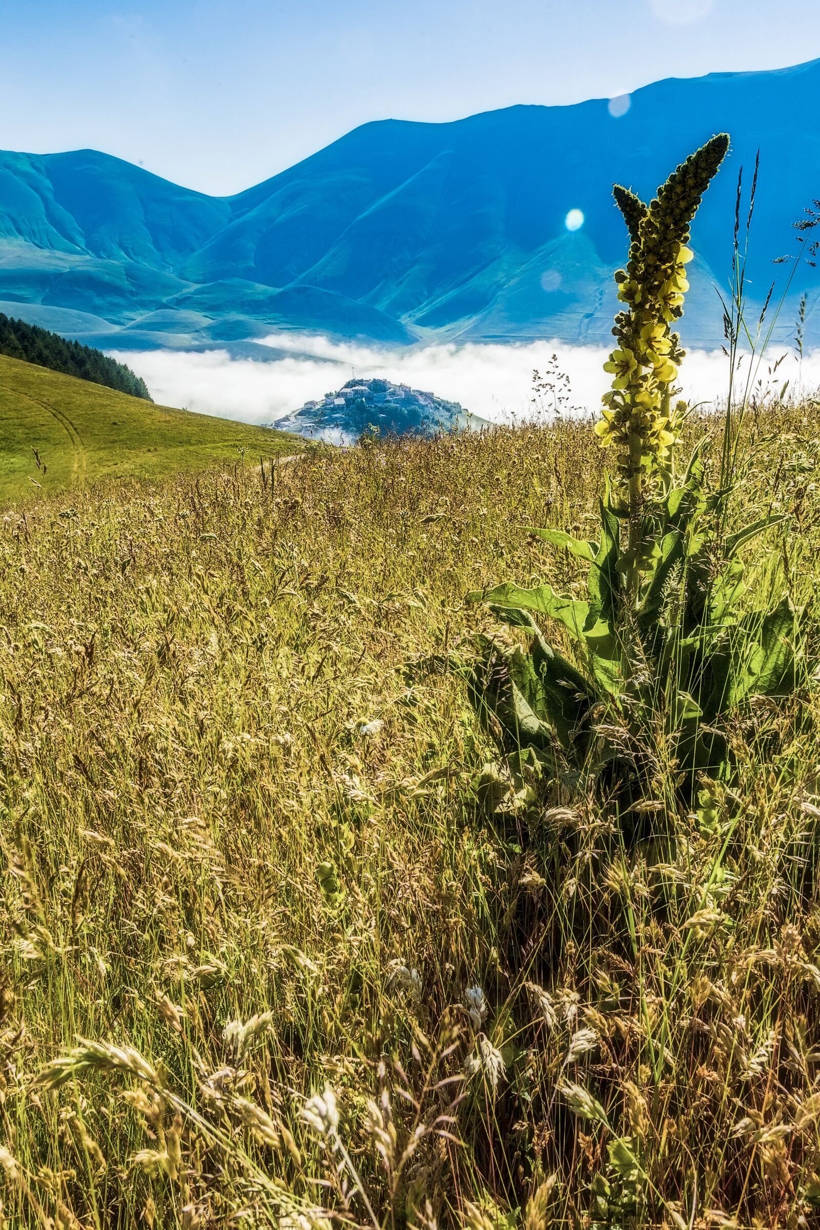 Canon EF 24-105mm F4L IS USM sample photo. Castelluccio, norcia, umbria photography