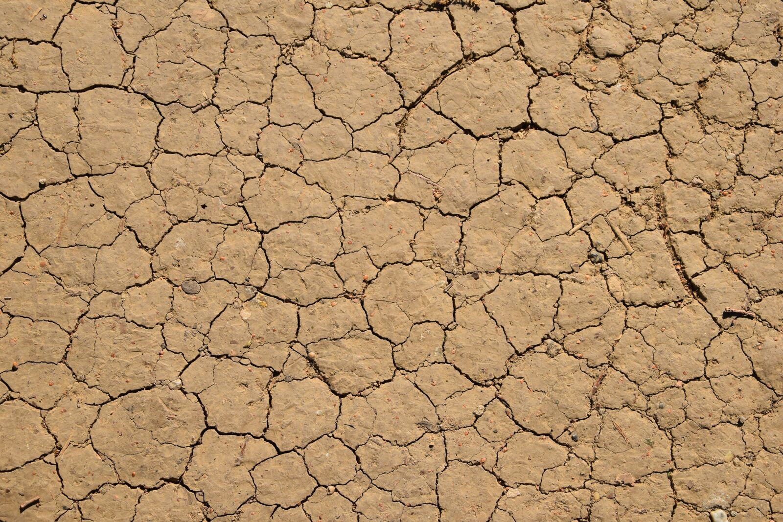 Nikon D3300 sample photo. Earth, ground, texture photography
