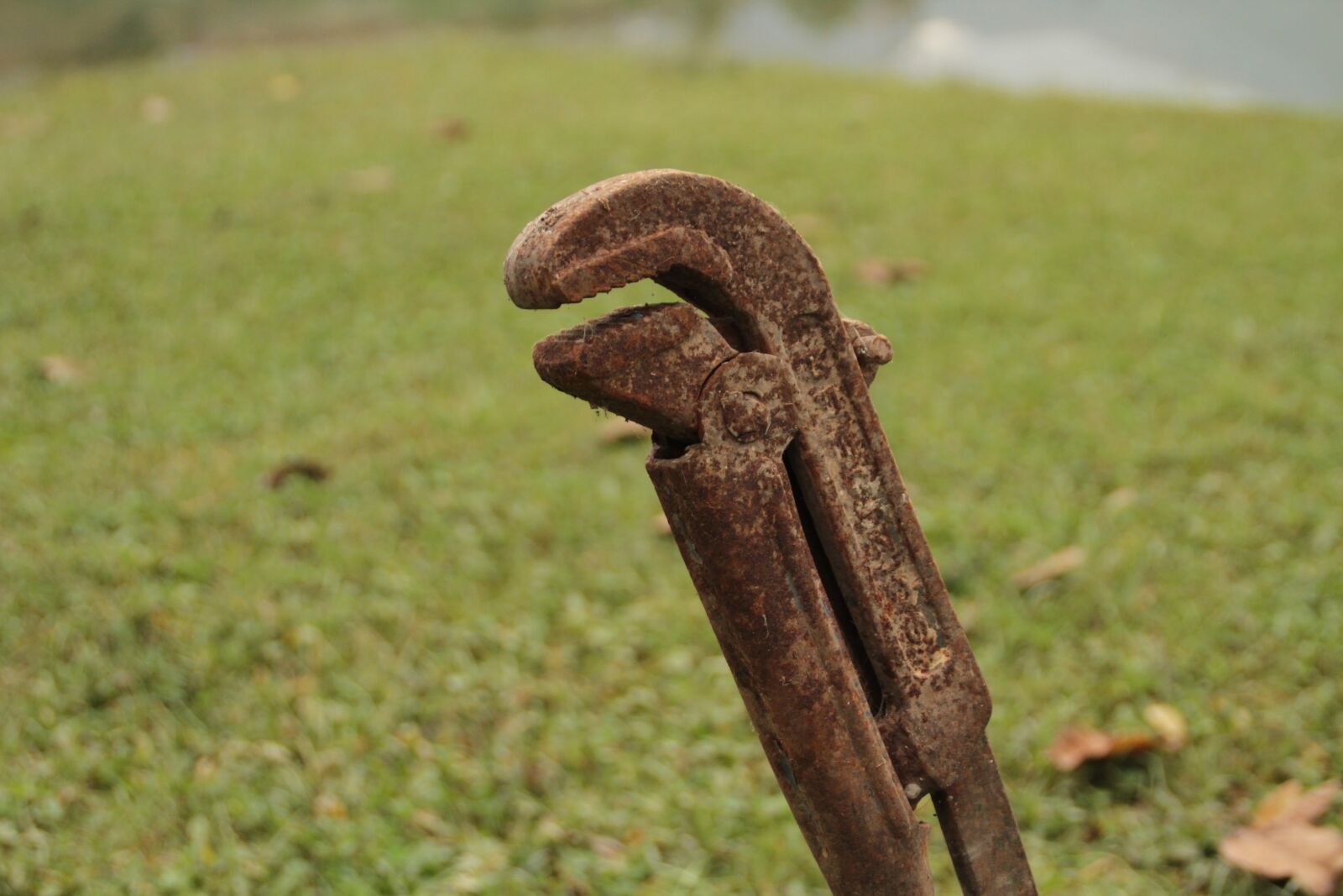 Canon EOS 7D sample photo. Tools, metal, rust photography