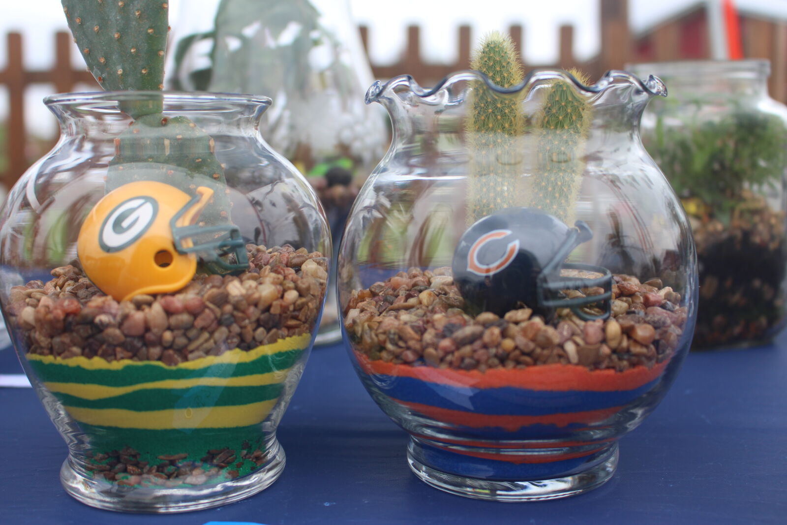 Canon EOS 700D (EOS Rebel T5i / EOS Kiss X7i) sample photo. American, football, bears photography