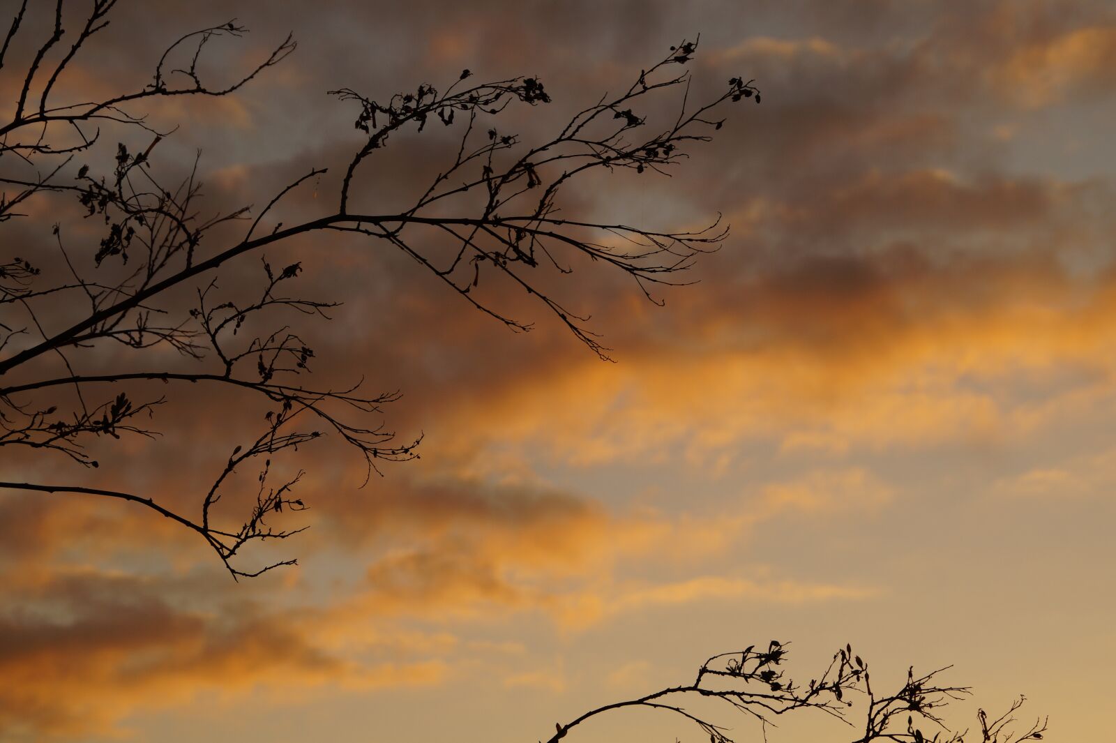 Sony SLT-A58 sample photo. Afterglow, clouds, illuminated photography