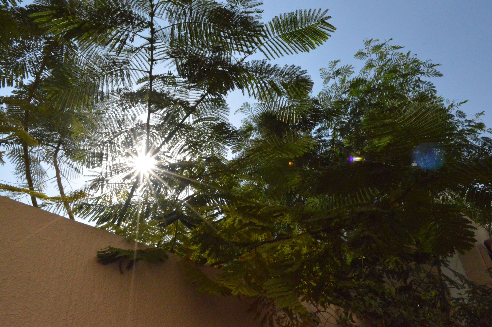 Nikon D3200 sample photo. Light, sunshine, sunny photography