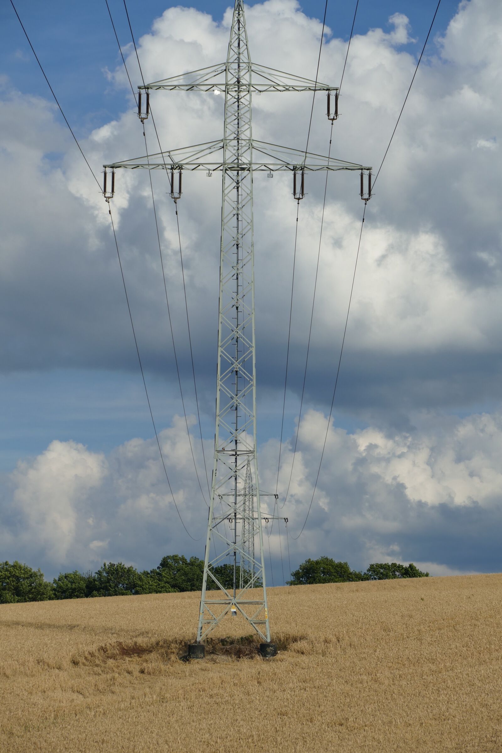 Panasonic Lumix DMC-FZ1000 sample photo. Nature, vision, power lines photography