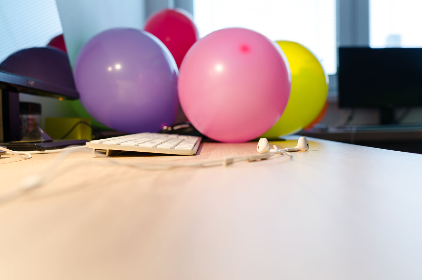 Nikon D5100 sample photo. Above, background, blank, business photography
