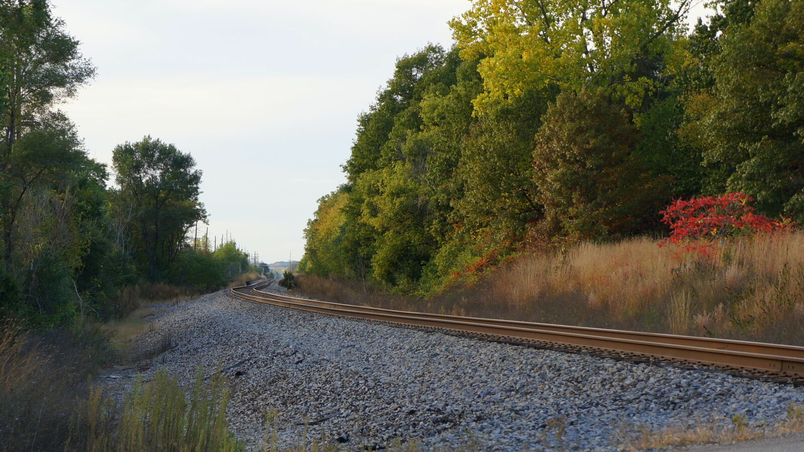 Sony Alpha NEX-5R sample photo. Fall, michigan, railroad, railroad photography