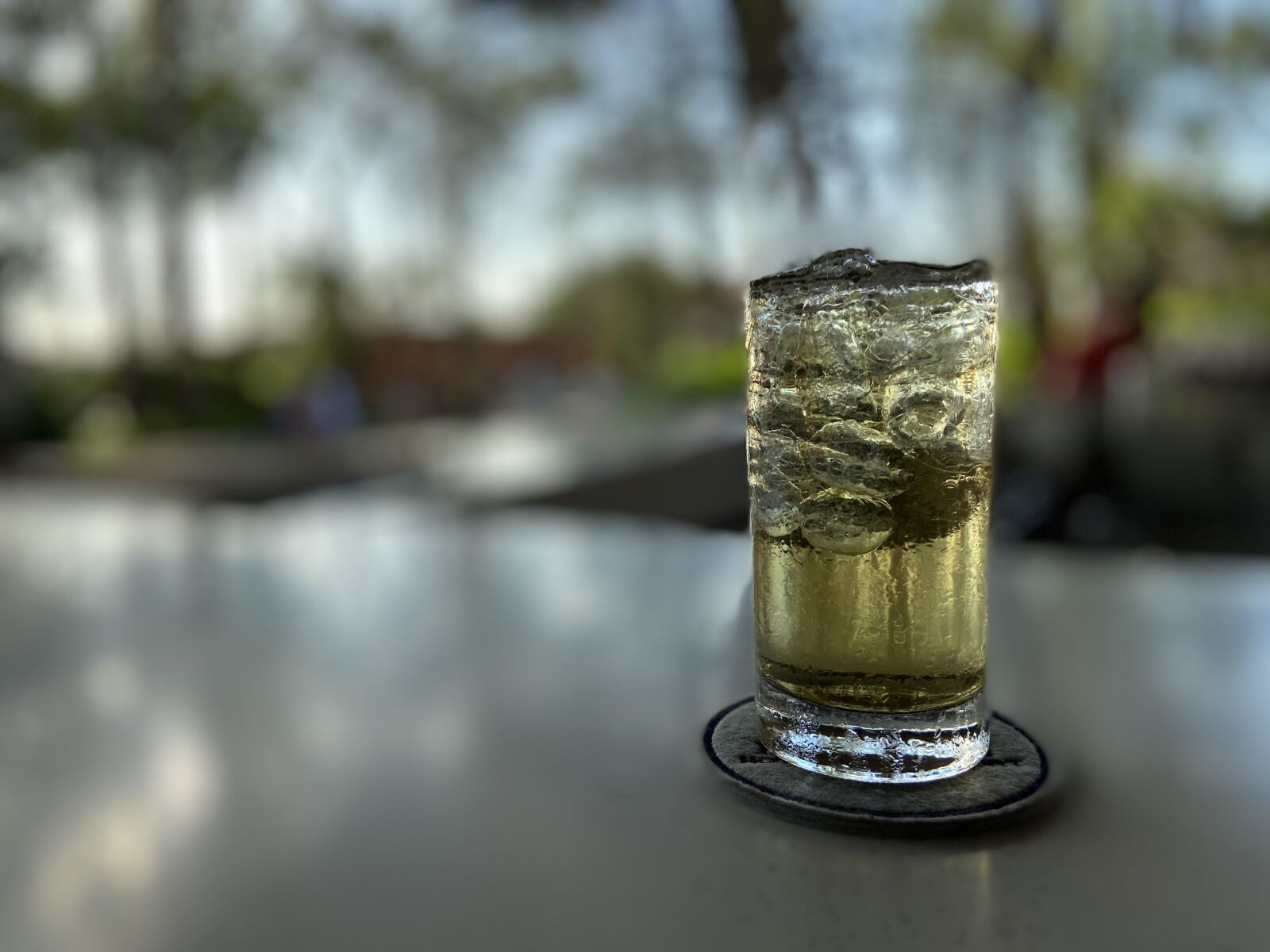 Apple iPhone 11 sample photo. Beer, tree, drink photography