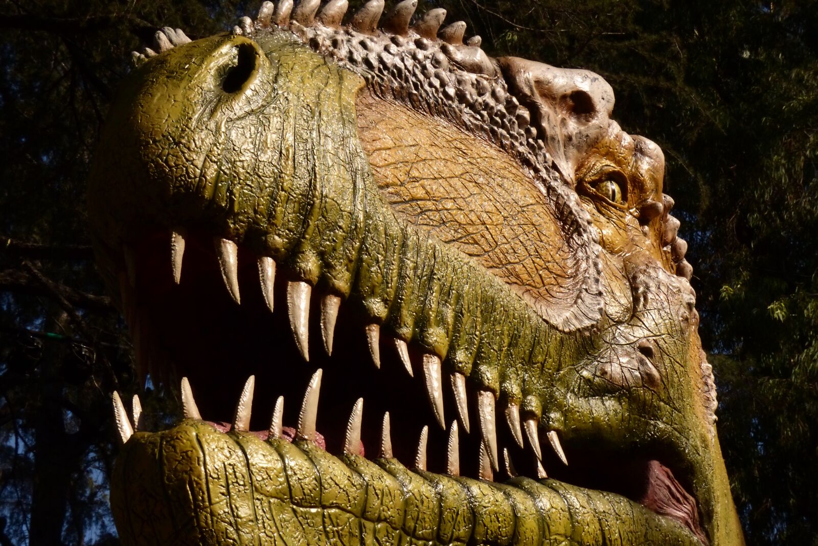 Panasonic Lumix DMC-FZ200 sample photo. Dinosaur face, teeth, head photography