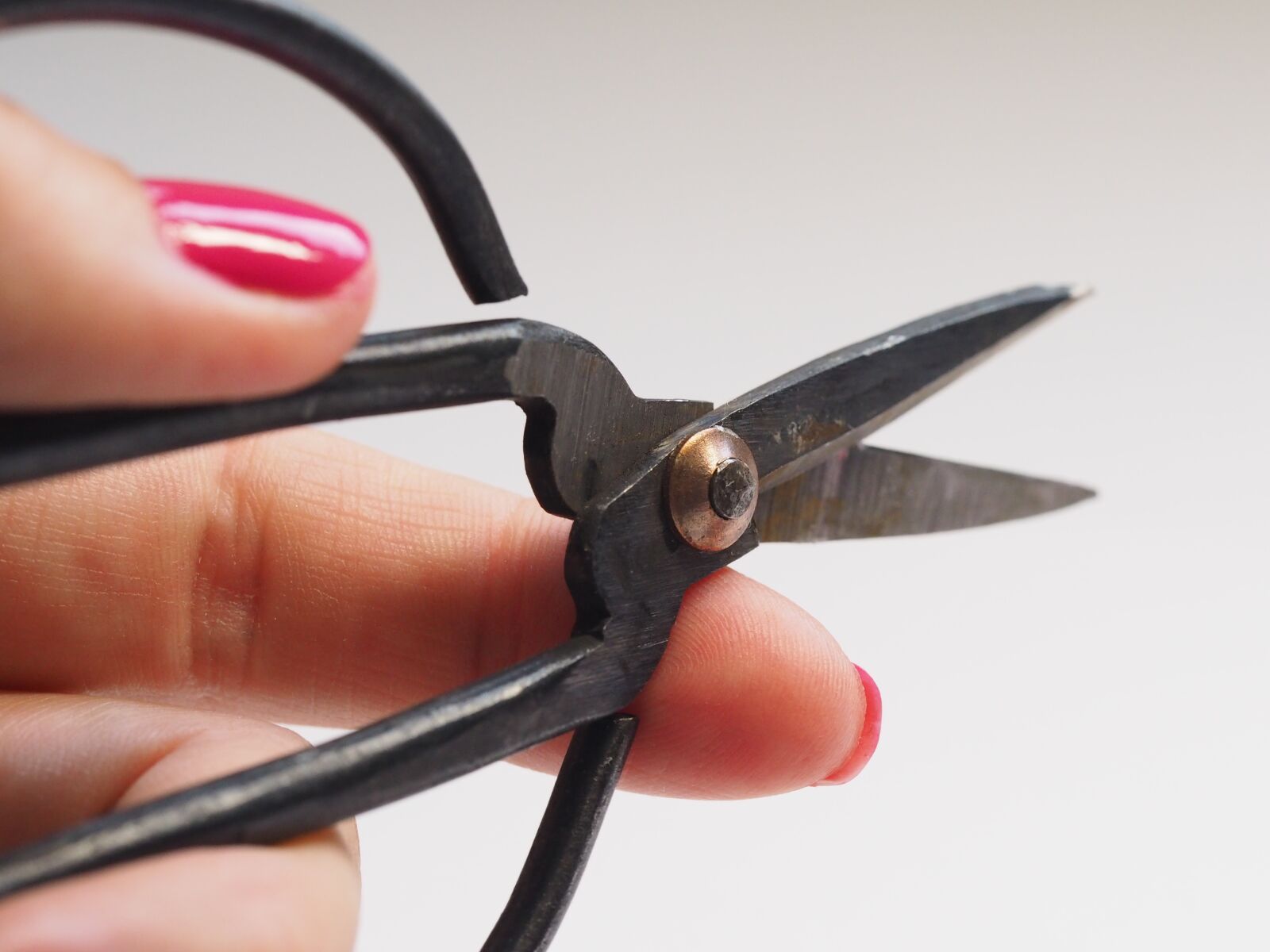 Olympus M.Zuiko Digital ED 60mm F2.8 Macro sample photo. Scissors, sharp, hand photography