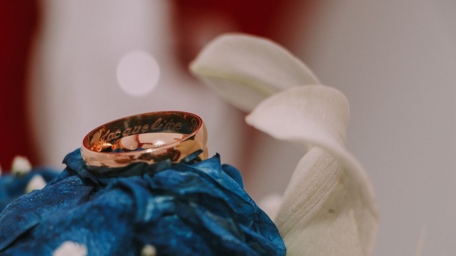 Canon EOS 77D (EOS 9000D / EOS 770D) sample photo. Wedding, rosa, blue photography
