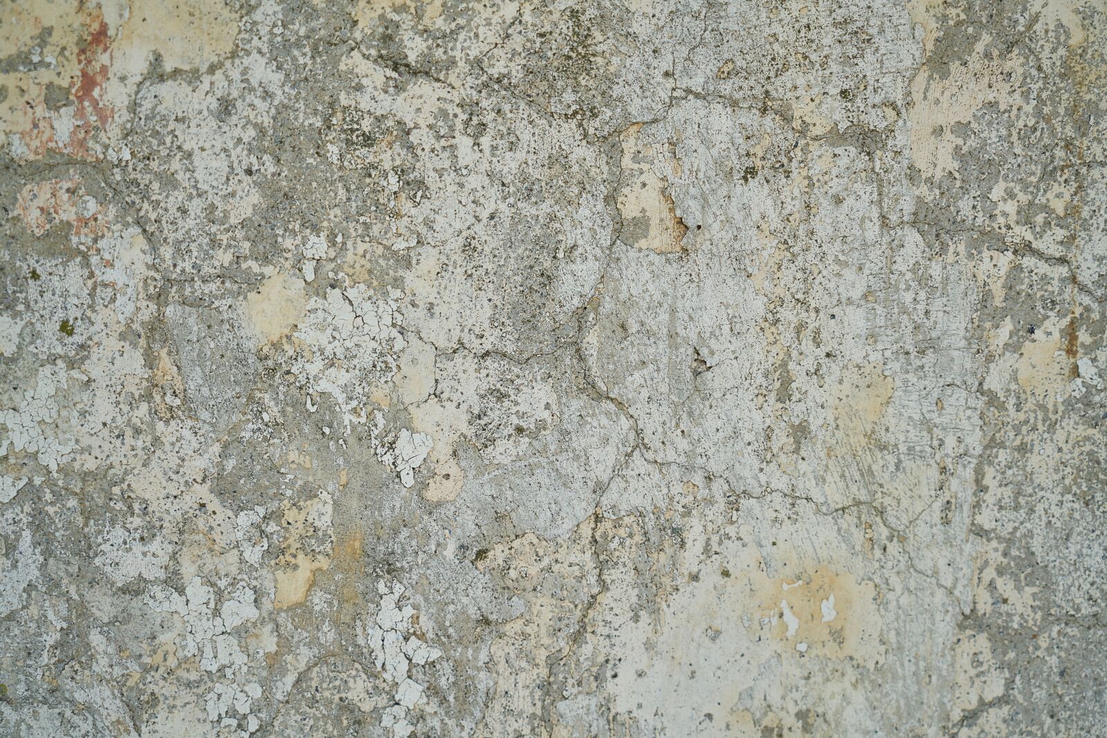 Sony a7R II + Sony Vario Tessar T* FE 24-70mm F4 ZA OSS sample photo. Brick, wall, stone photography