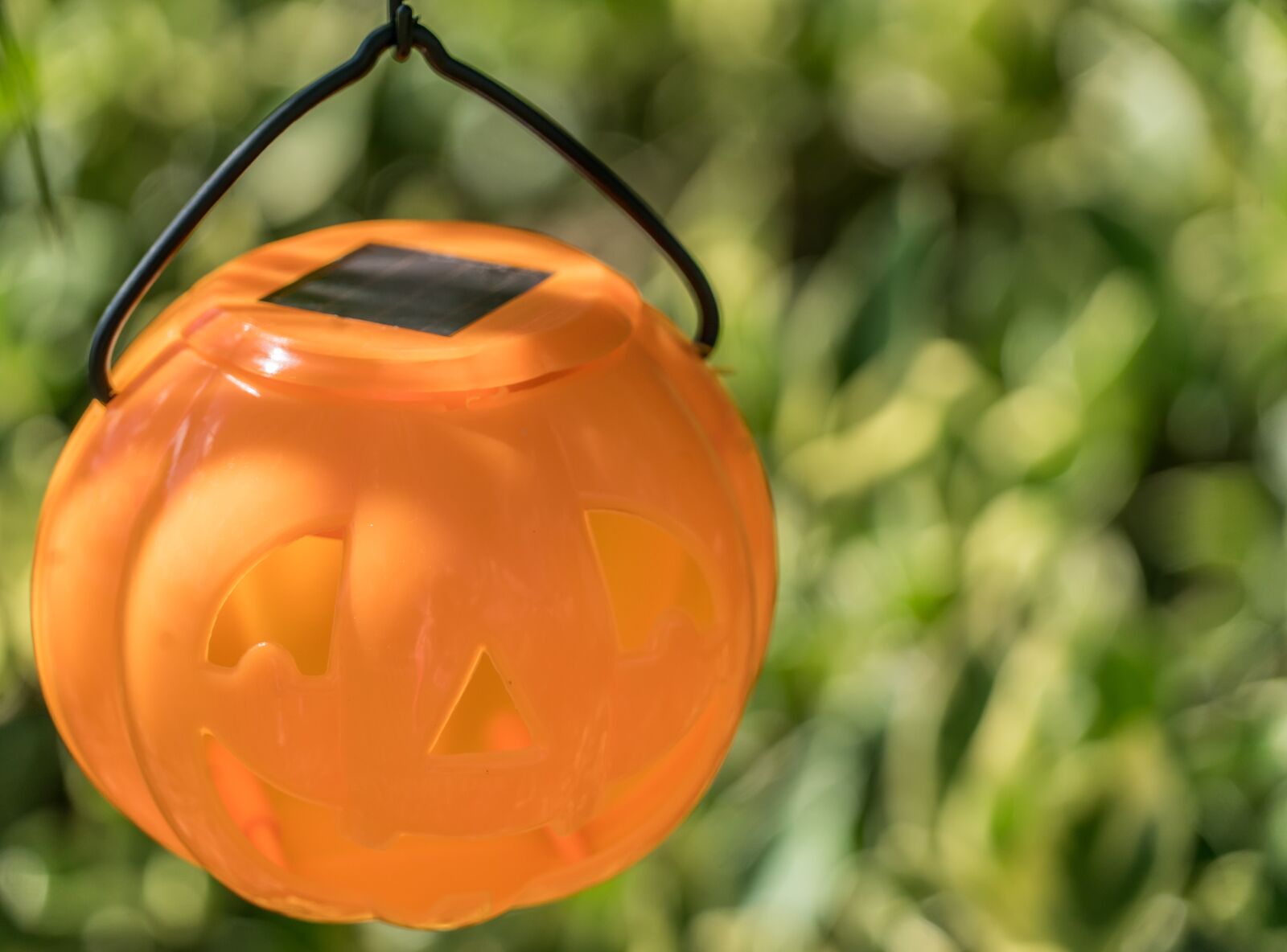 Sony a7R II + Sony FE 24-240mm F3.5-6.3 OSS sample photo. Halloween, decoration, closeup photography