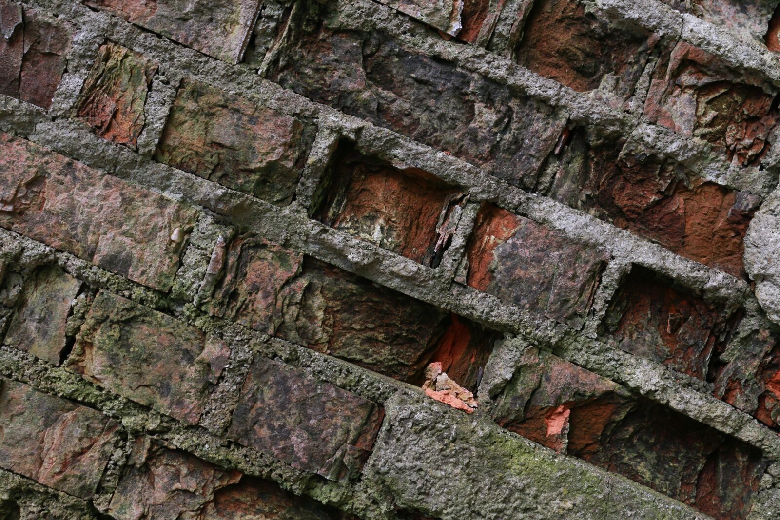 Canon EOS 70D sample photo. Wall, structure, brick photography