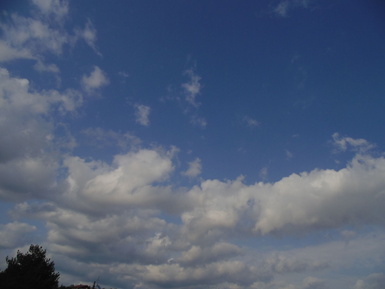 Sony DSC-H100 sample photo