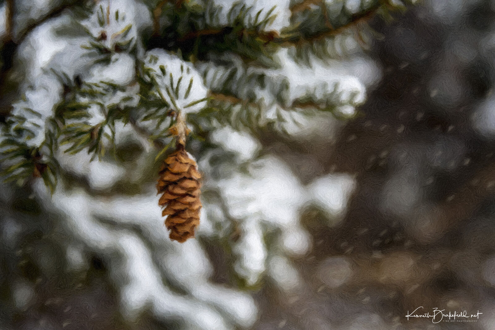 Nikon D810 sample photo. Pine, cone, snow, snow photography
