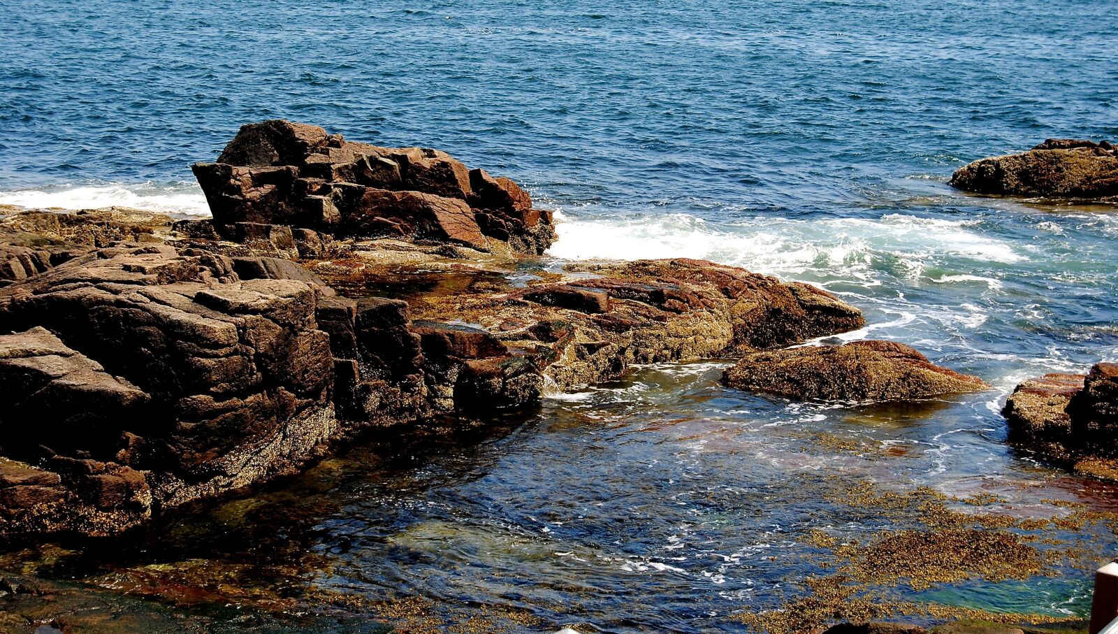 Nikon D3000 sample photo. Maine, ocean, coast photography