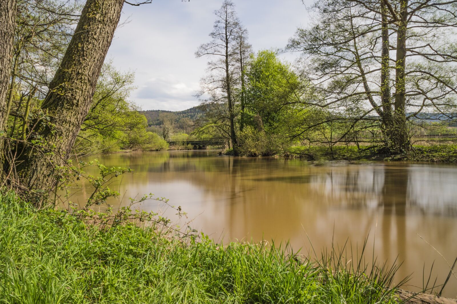 Sony SLT-A68 + Sony DT 18-200mm F3.5-6.3 sample photo. Nature, waters, tree photography