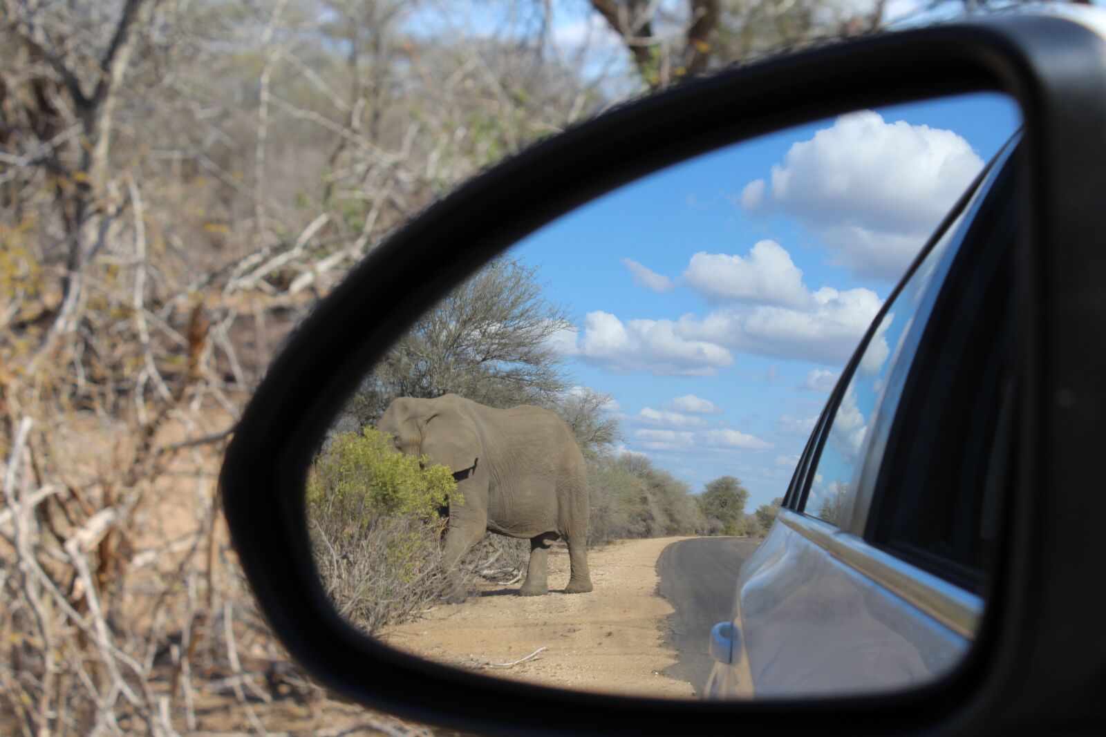 Canon EOS 1200D (EOS Rebel T5 / EOS Kiss X70 / EOS Hi) sample photo. Elephant, safari, kruger photography