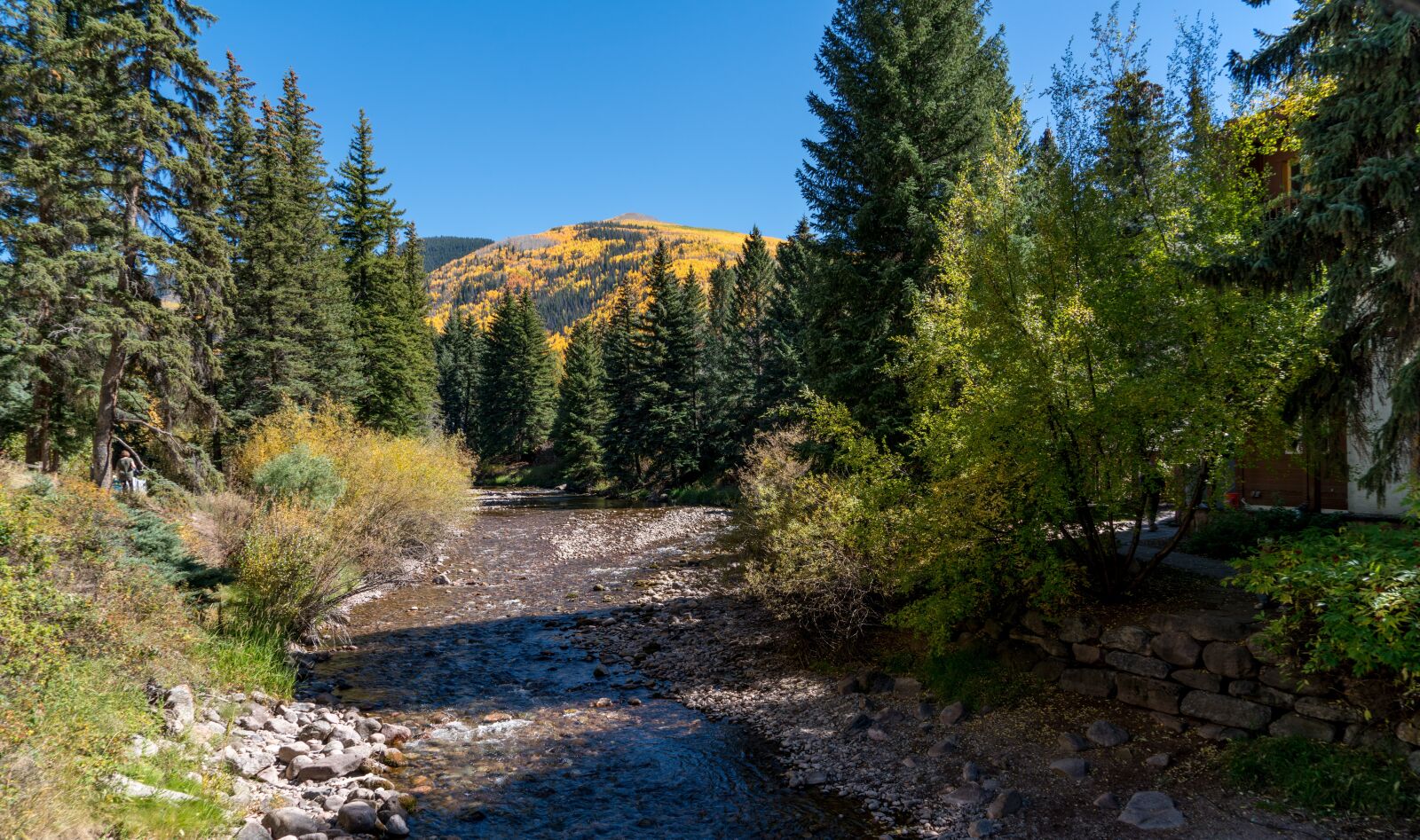 Sony a7R II + Sony FE 24-240mm F3.5-6.3 OSS sample photo. Vail, colorado, nature photography