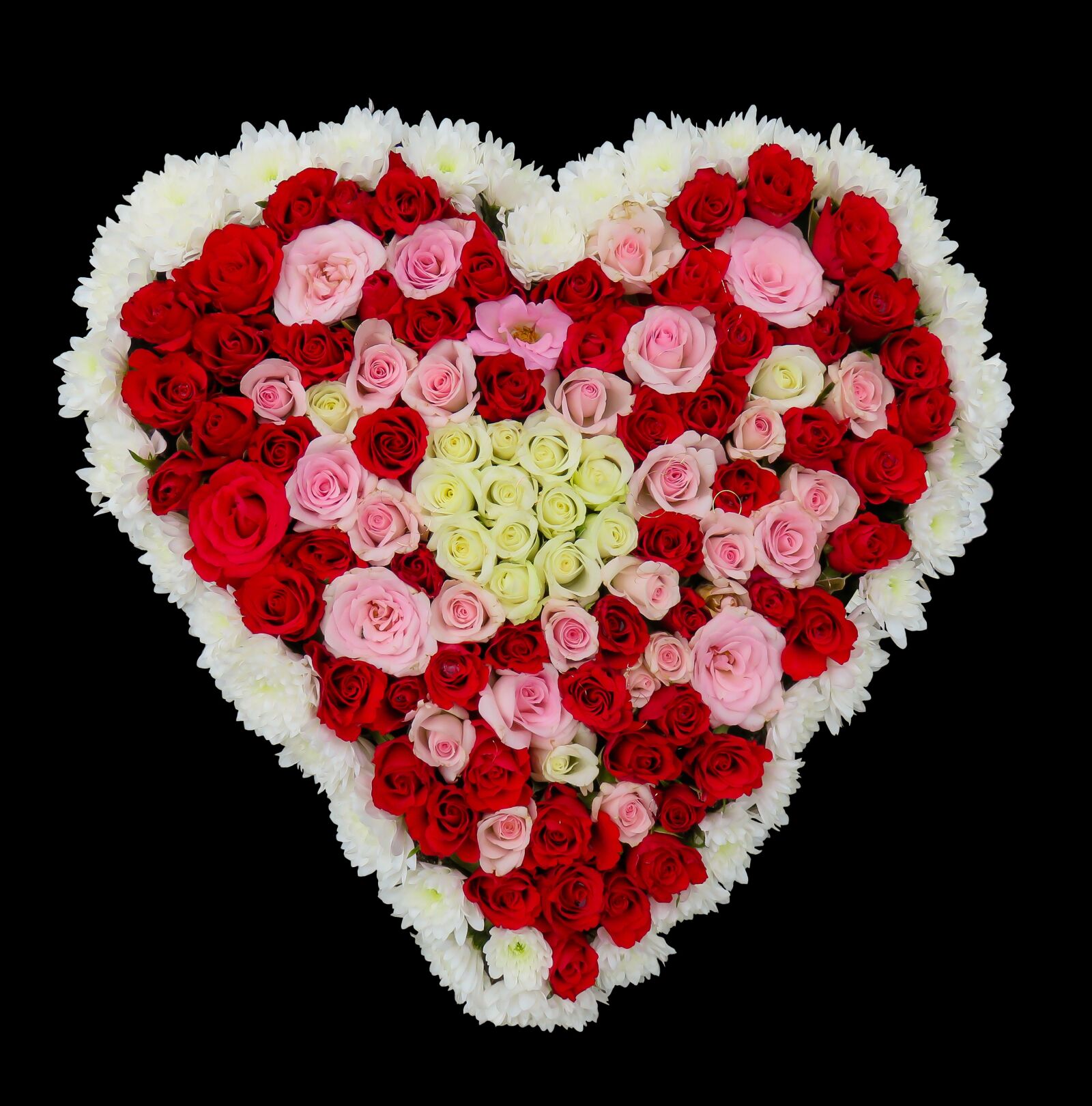 Canon PowerShot SX710 HS sample photo. Heart, flowers, roses photography