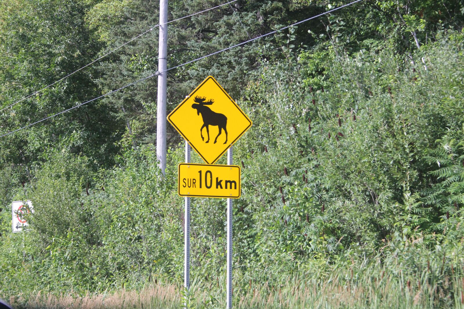 Canon EOS 60D + Canon EF-S 18-55mm F3.5-5.6 II sample photo. Quebec, sign, caribou photography
