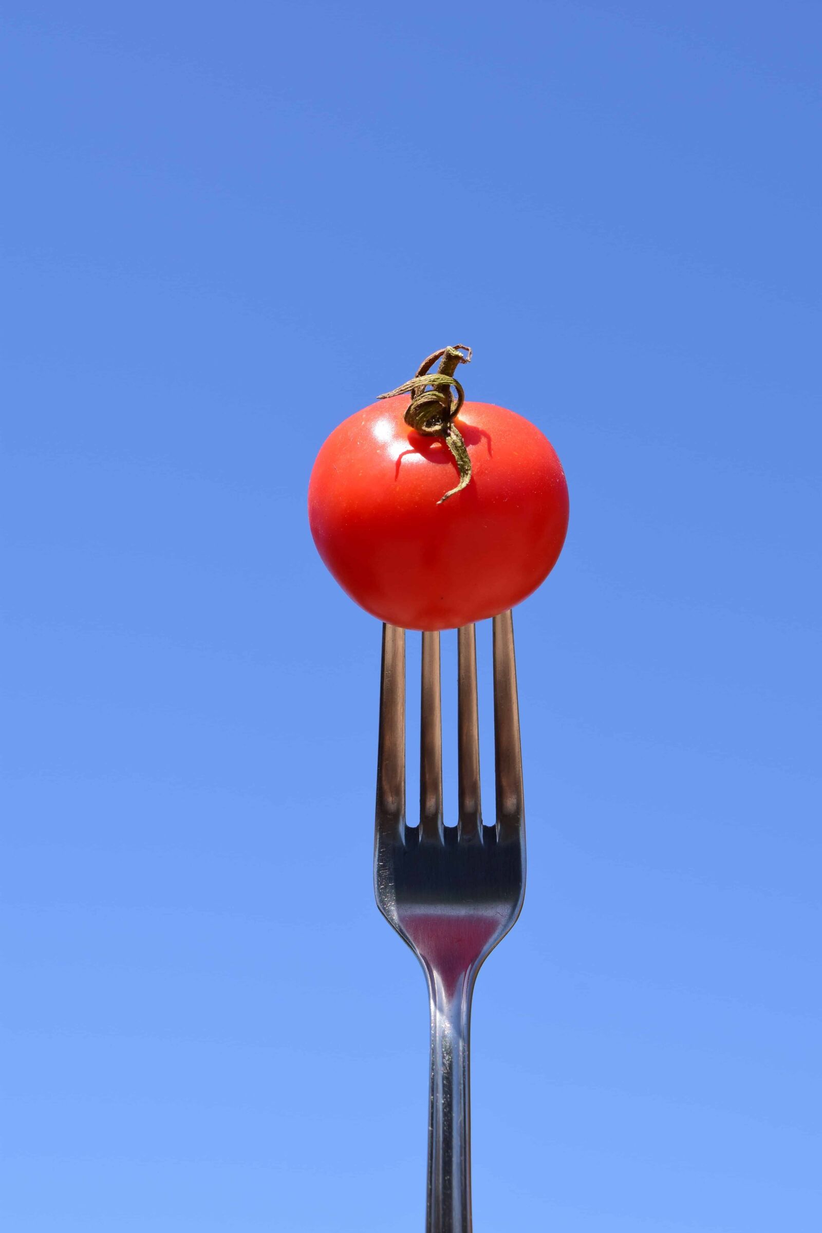 Nikon D3300 sample photo. Blue sky, fork, metal photography