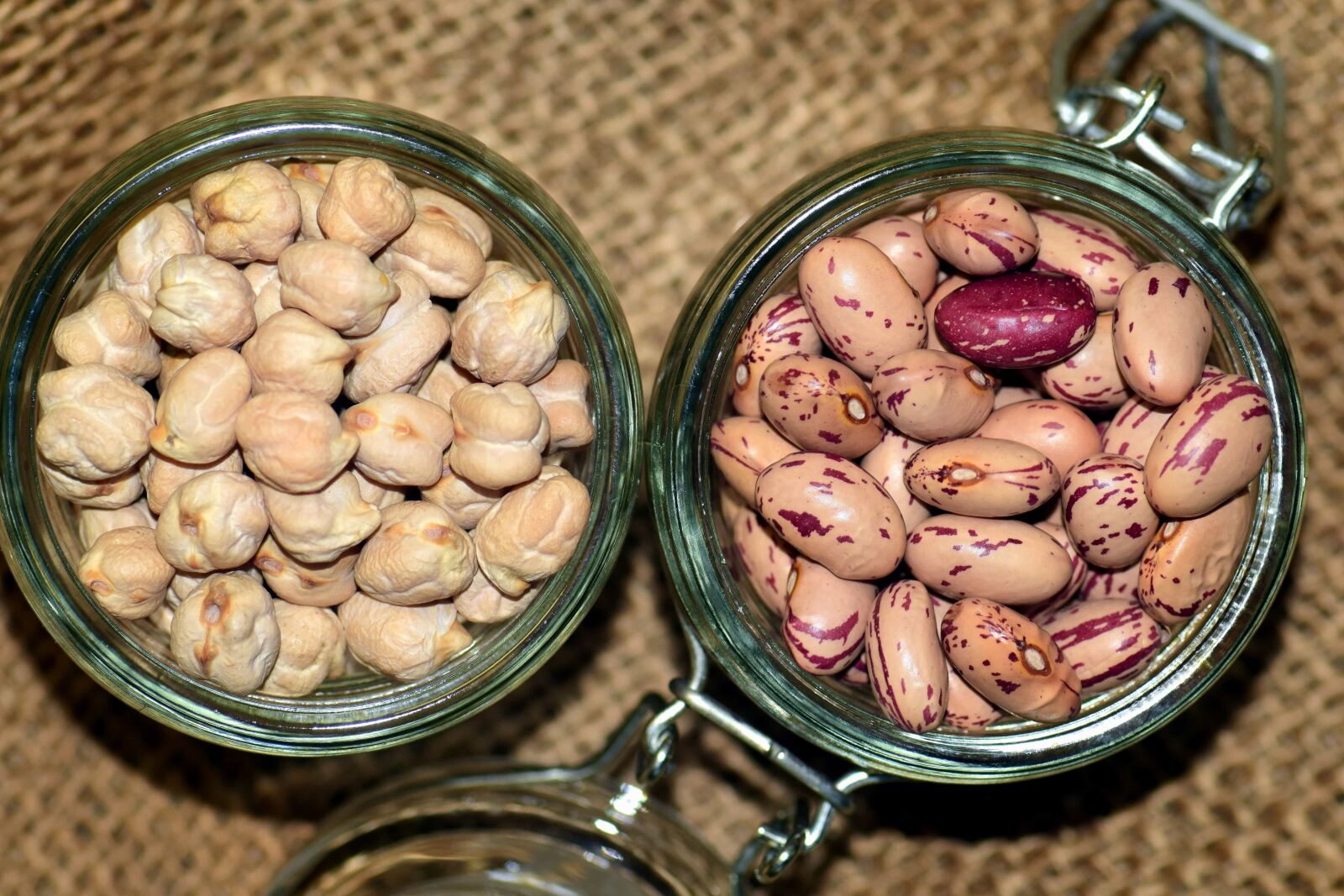 Nikon D3300 sample photo. Object, plant, organic, seed photography