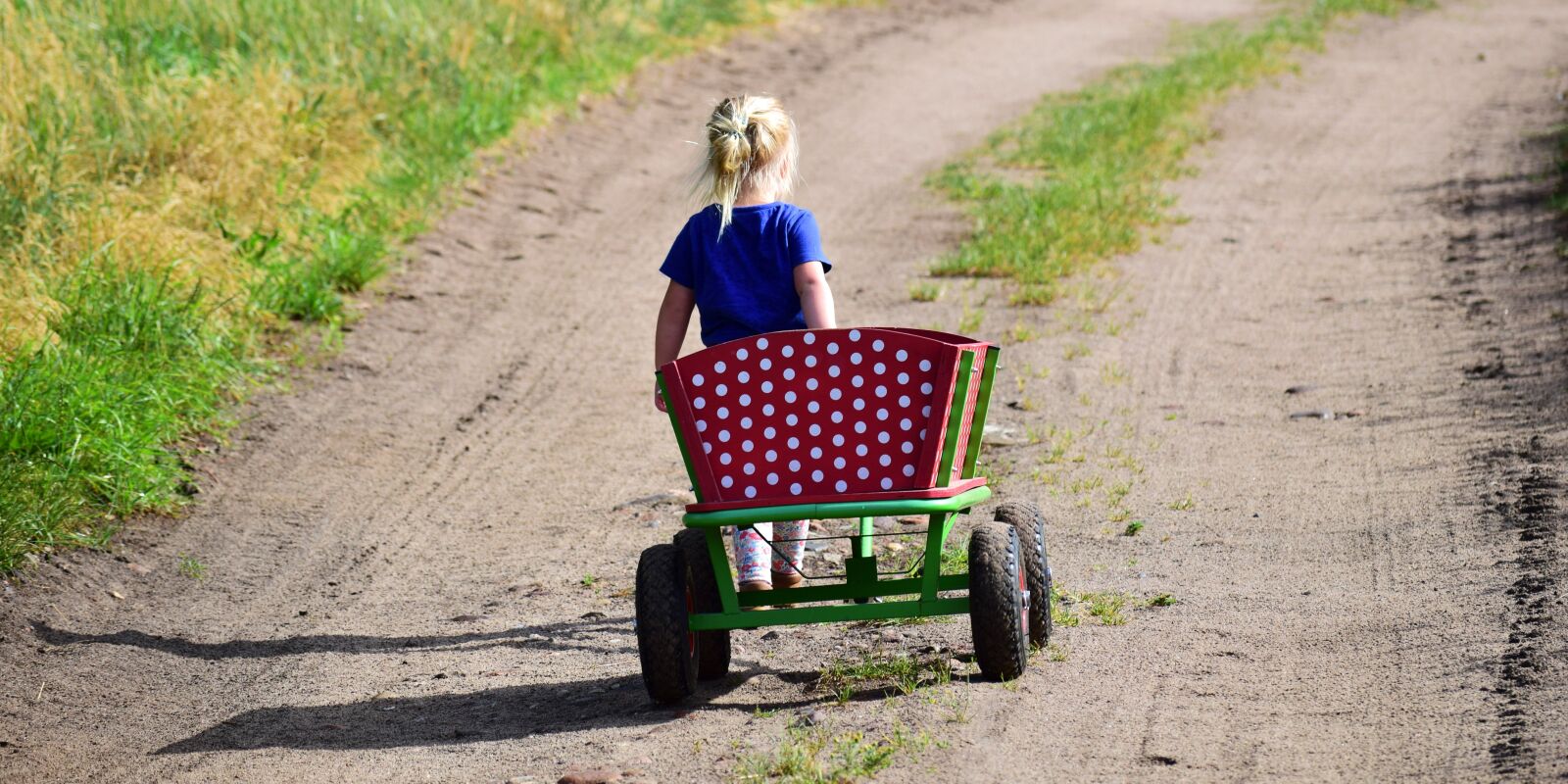 Nikon D5300 sample photo. Girl, child, blond photography