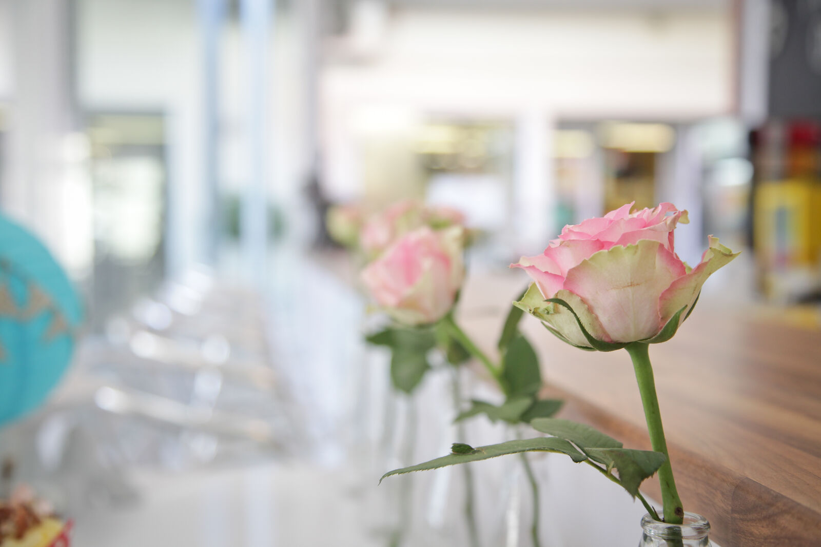Canon EOS 5D Mark II sample photo. Flowers, party, rose, decor photography