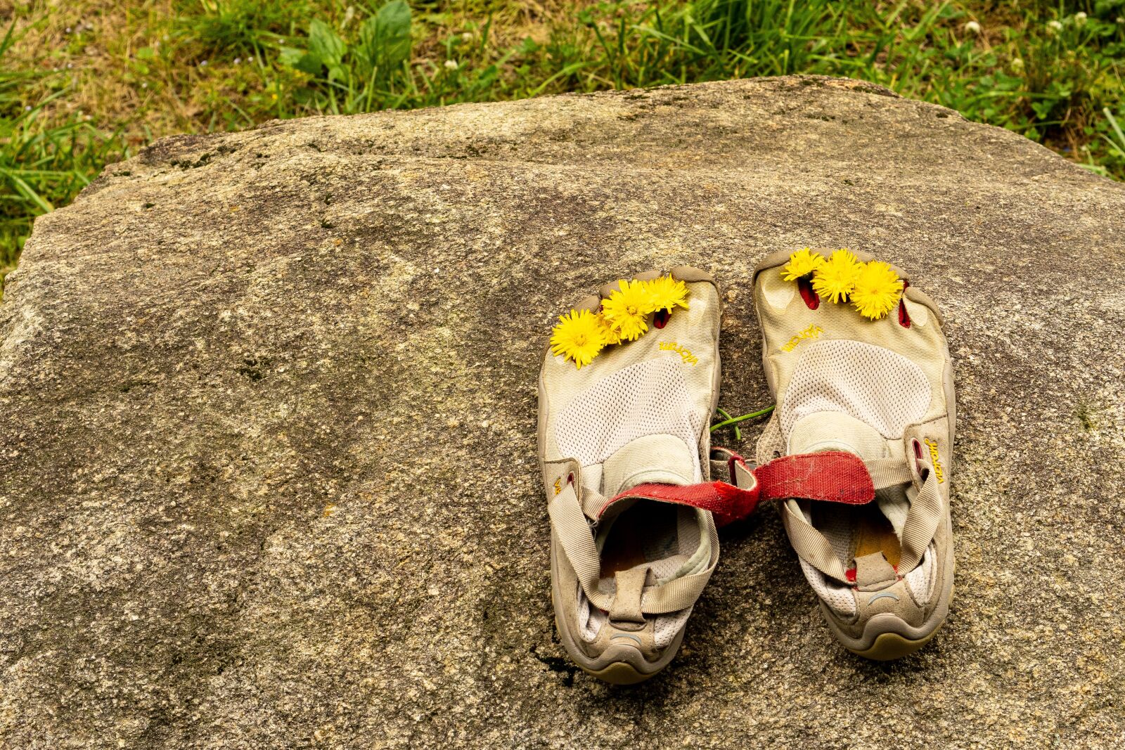 Sony E 35mm F1.8 OSS sample photo. Companions, shoe pair, flower photography