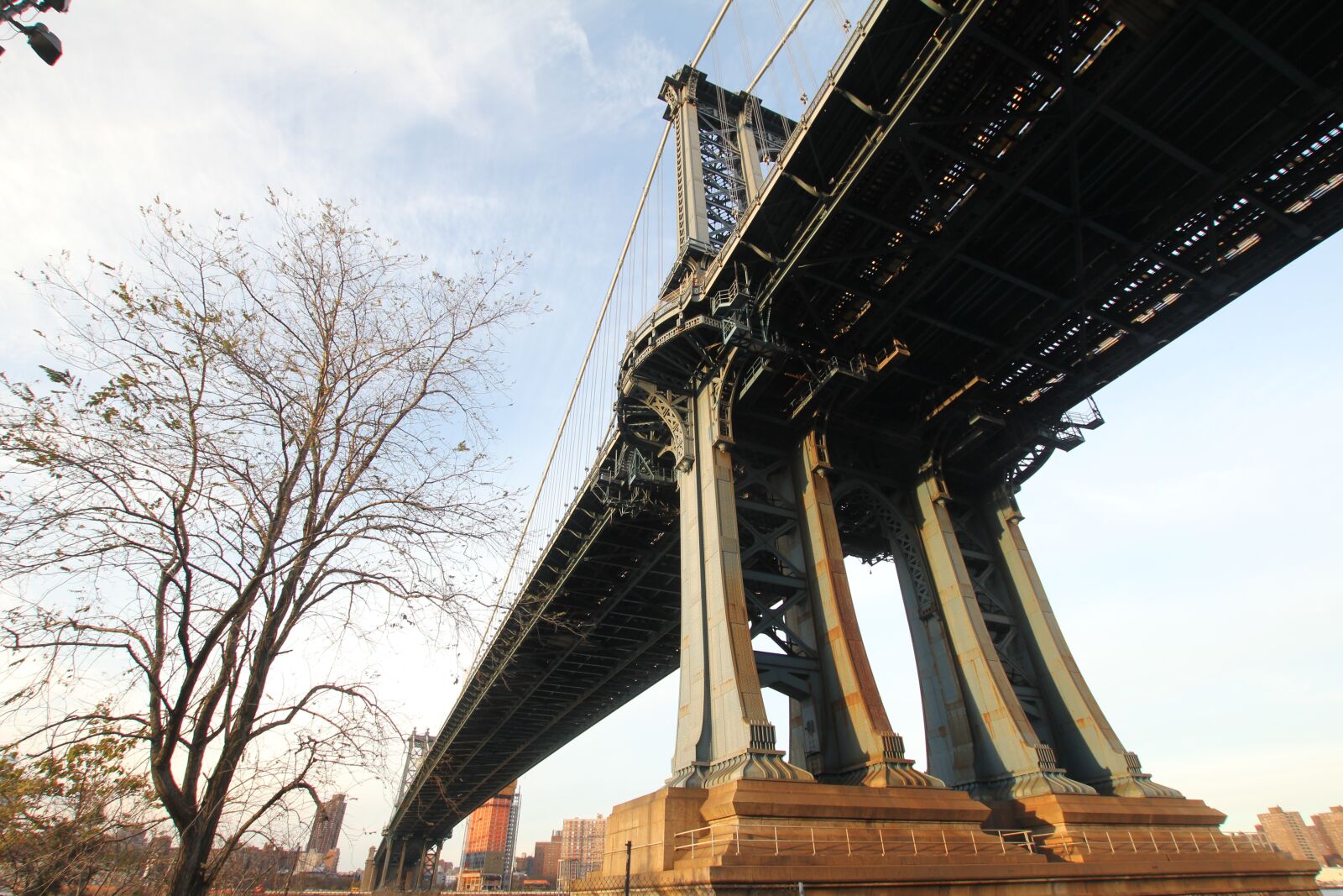 Canon EOS 60D sample photo. Bridge, tree, cable bridge photography