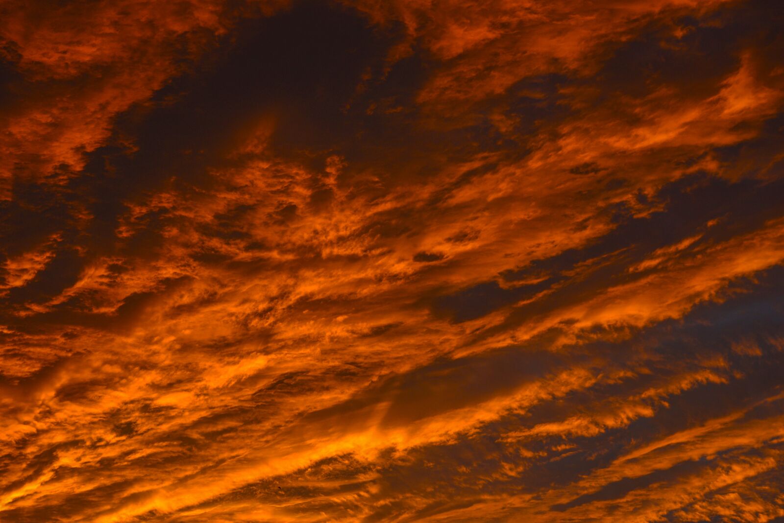 Nikon D610 sample photo. Sky, wölken, sunset photography