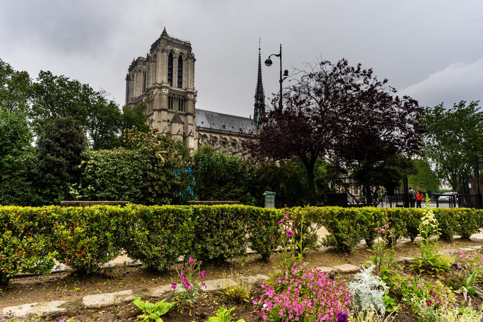 ZEISS Batis 25mm F2 sample photo. Flowers, notre dame, france photography