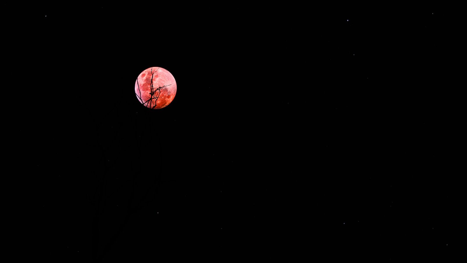 Fujifilm XF 55-200mm F3.5-4.8 R LM OIS sample photo. Moon, night, dark photography