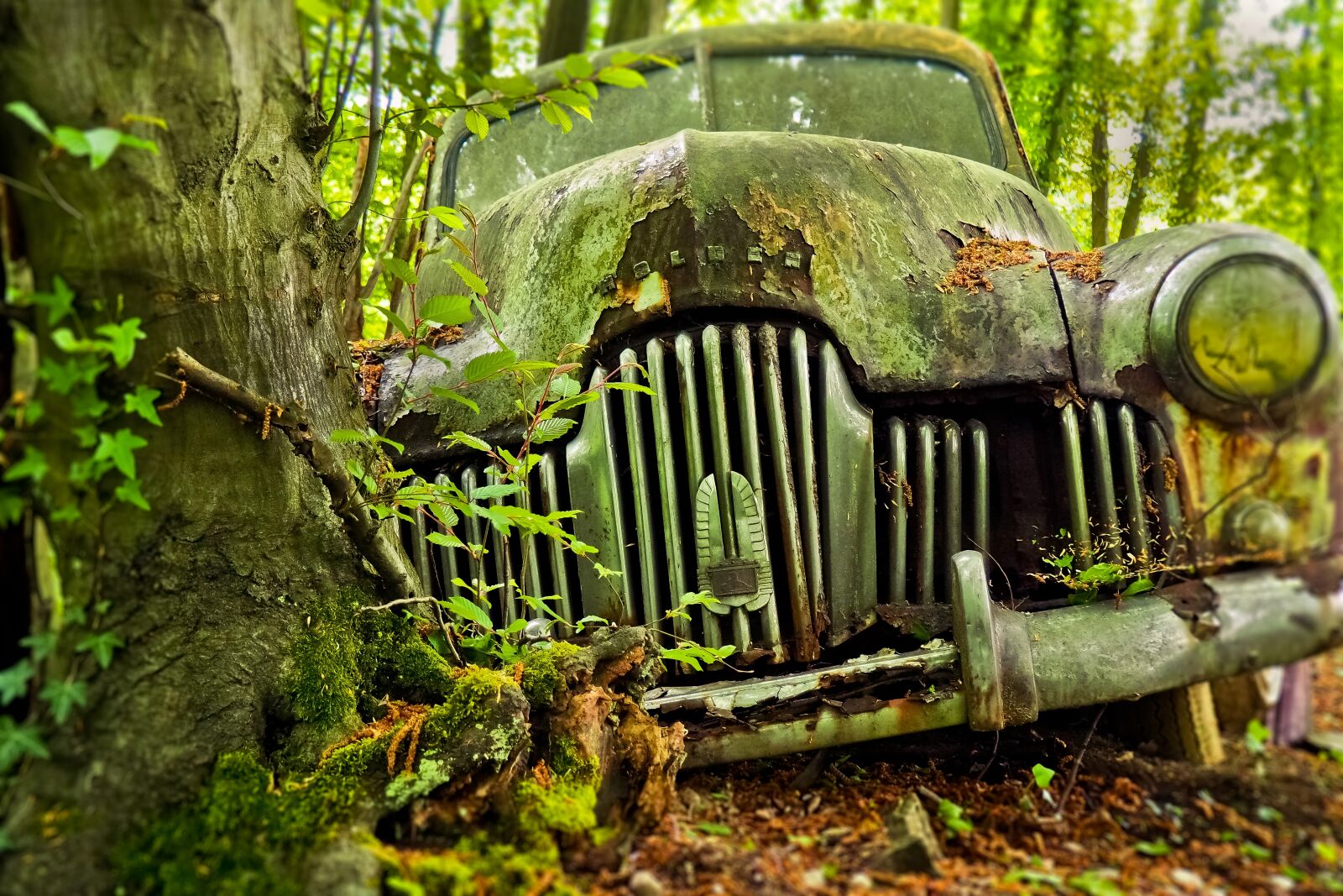 Olympus OM-D E-M10 sample photo. Auto, car cemetery, oldtimer photography