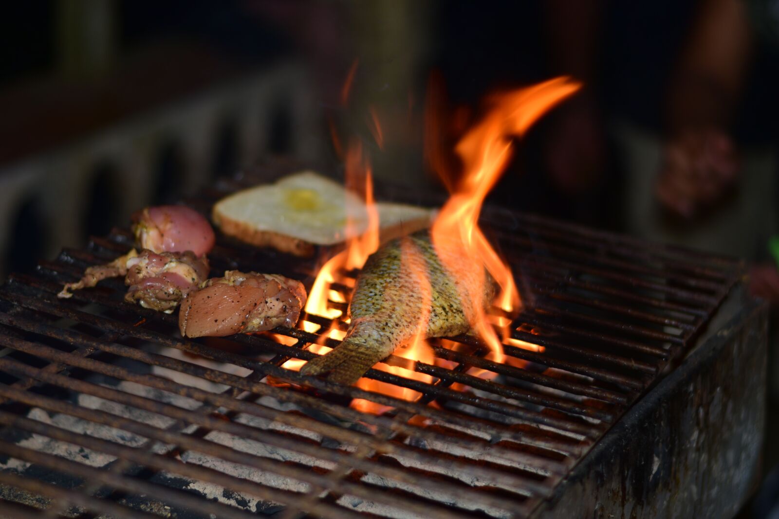 Nikon D5300 sample photo. Fire, bbq, grill photography