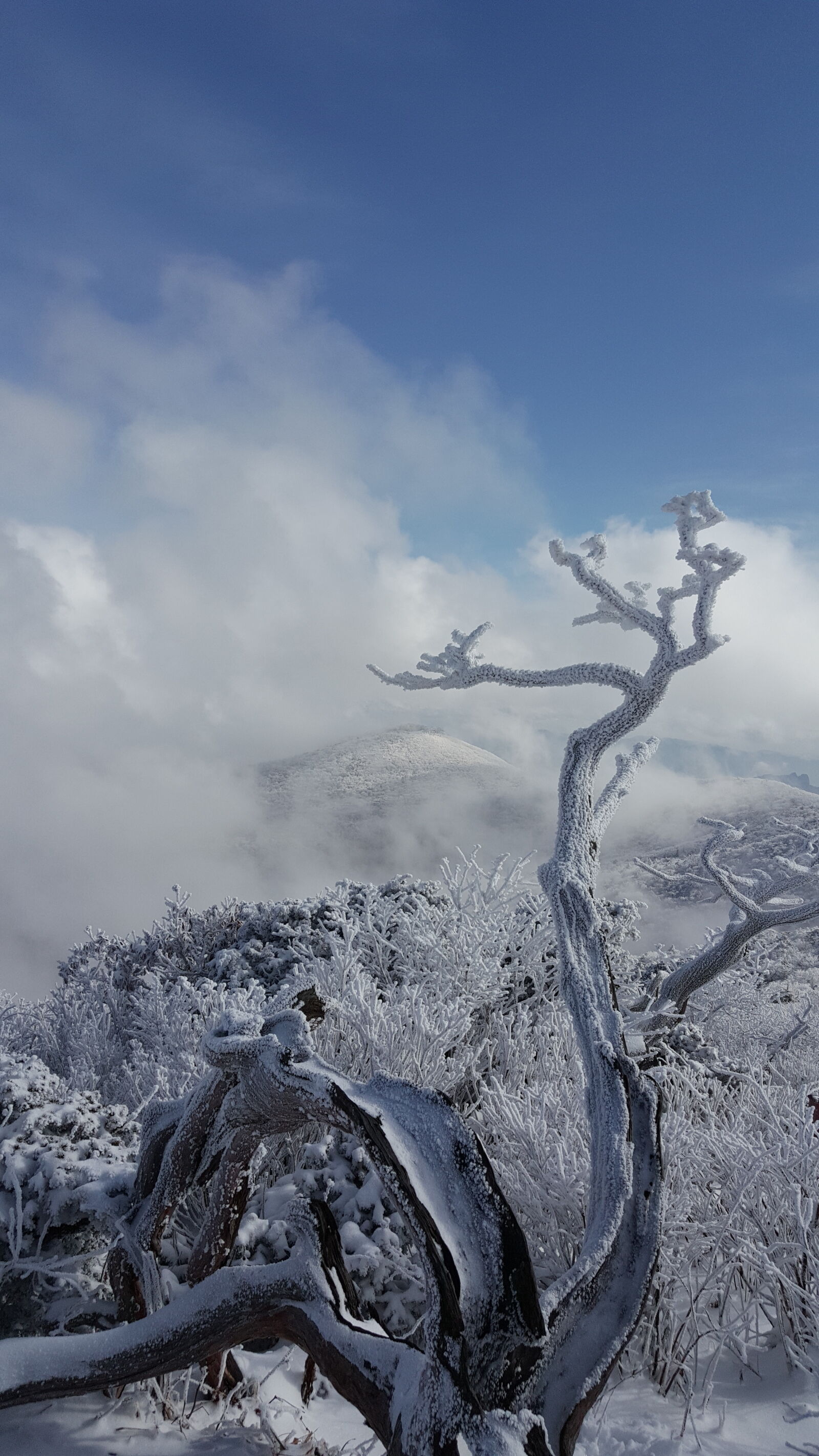 Samsung Galaxy Note5 sample photo. Korea, mountain, taebaeksan, winter photography