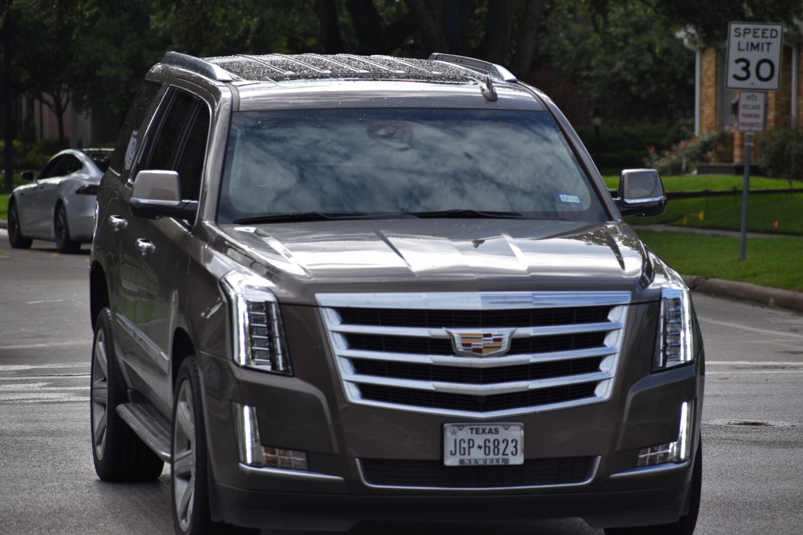 Nikon D3500 sample photo. Cadillac, escalade, 4x4 photography