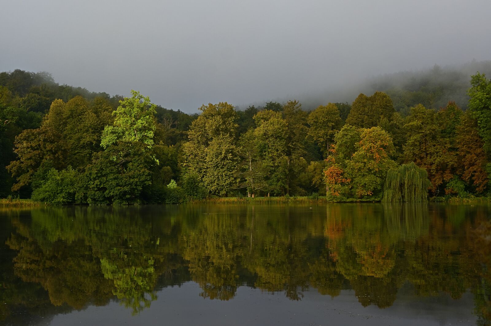 Nikon D5200 sample photo. Lake, trees, reflection photography