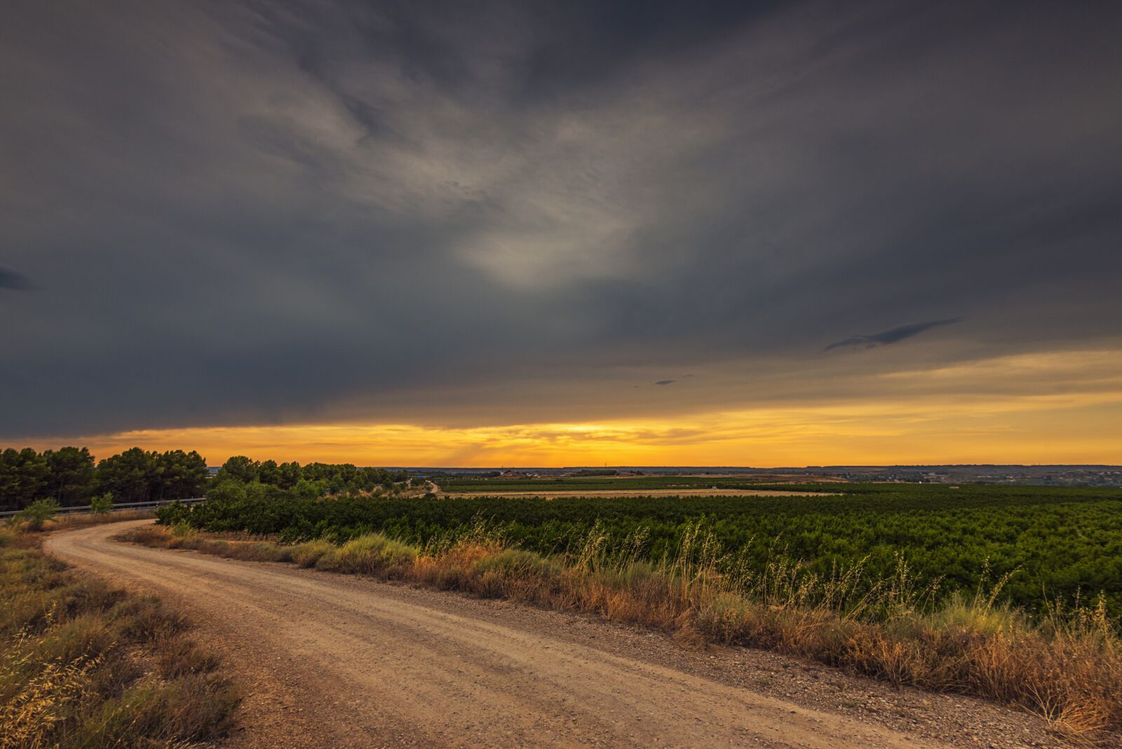 Nikon D750 sample photo. Rural road, path, field photography