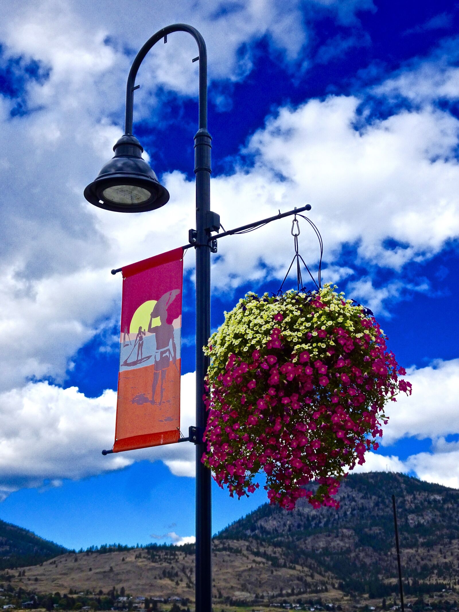 Sony Cyber-shot DSC-HX90V sample photo. Lampost, floral arrangement, decoration photography