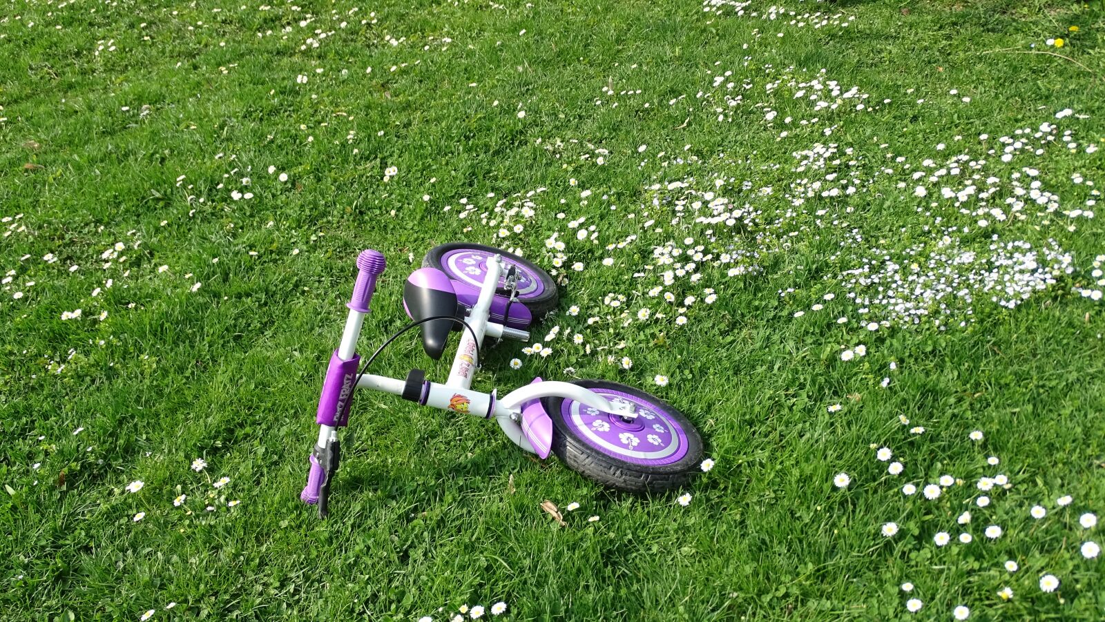 Sony Cyber-shot DSC-HX400V sample photo. Bike, grass, kids bike photography