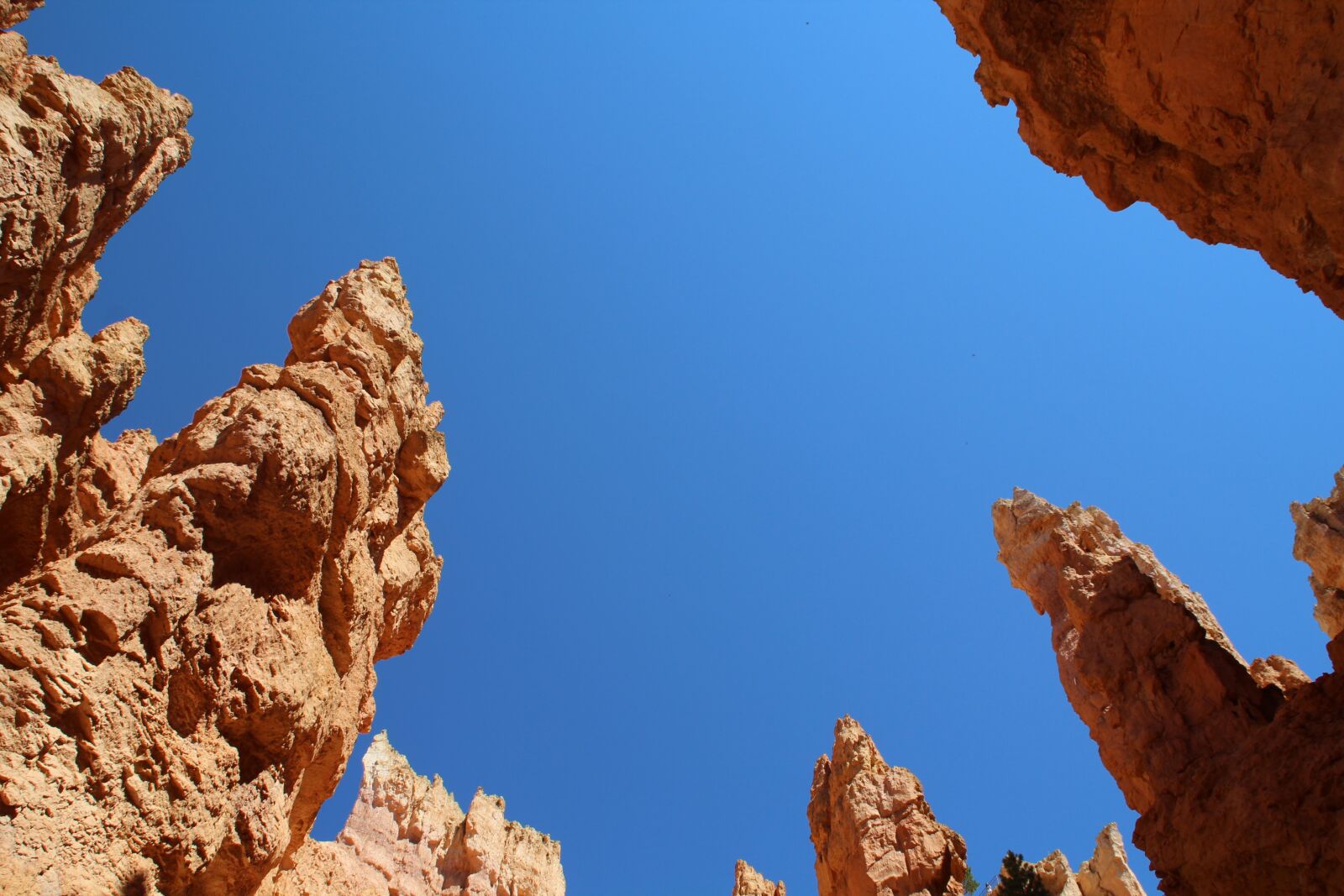 Canon EOS 600D (Rebel EOS T3i / EOS Kiss X5) sample photo. United states, canyon, nature photography