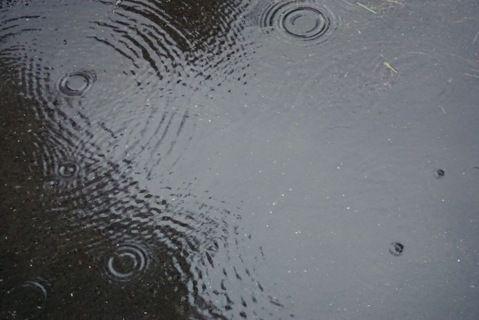 Sony a6000 sample photo. Water, puddle, out photography