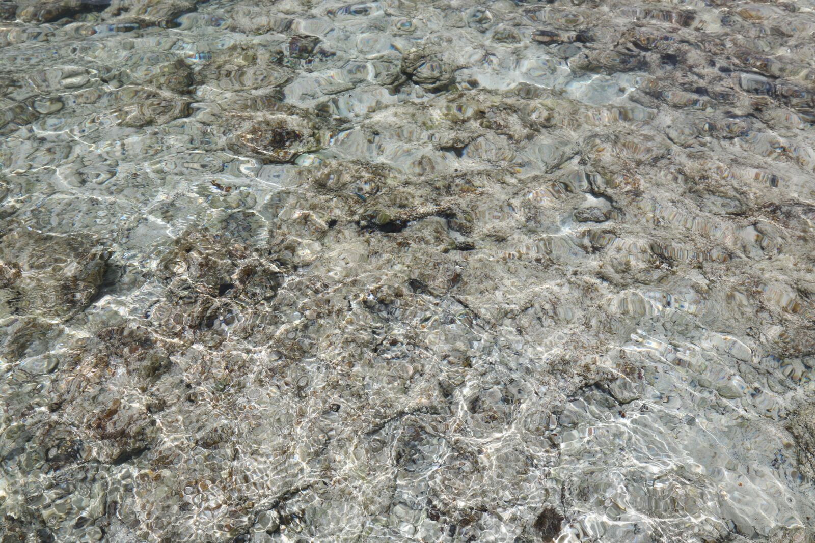 Canon EOS 70D sample photo. Wave, sea, coral photography
