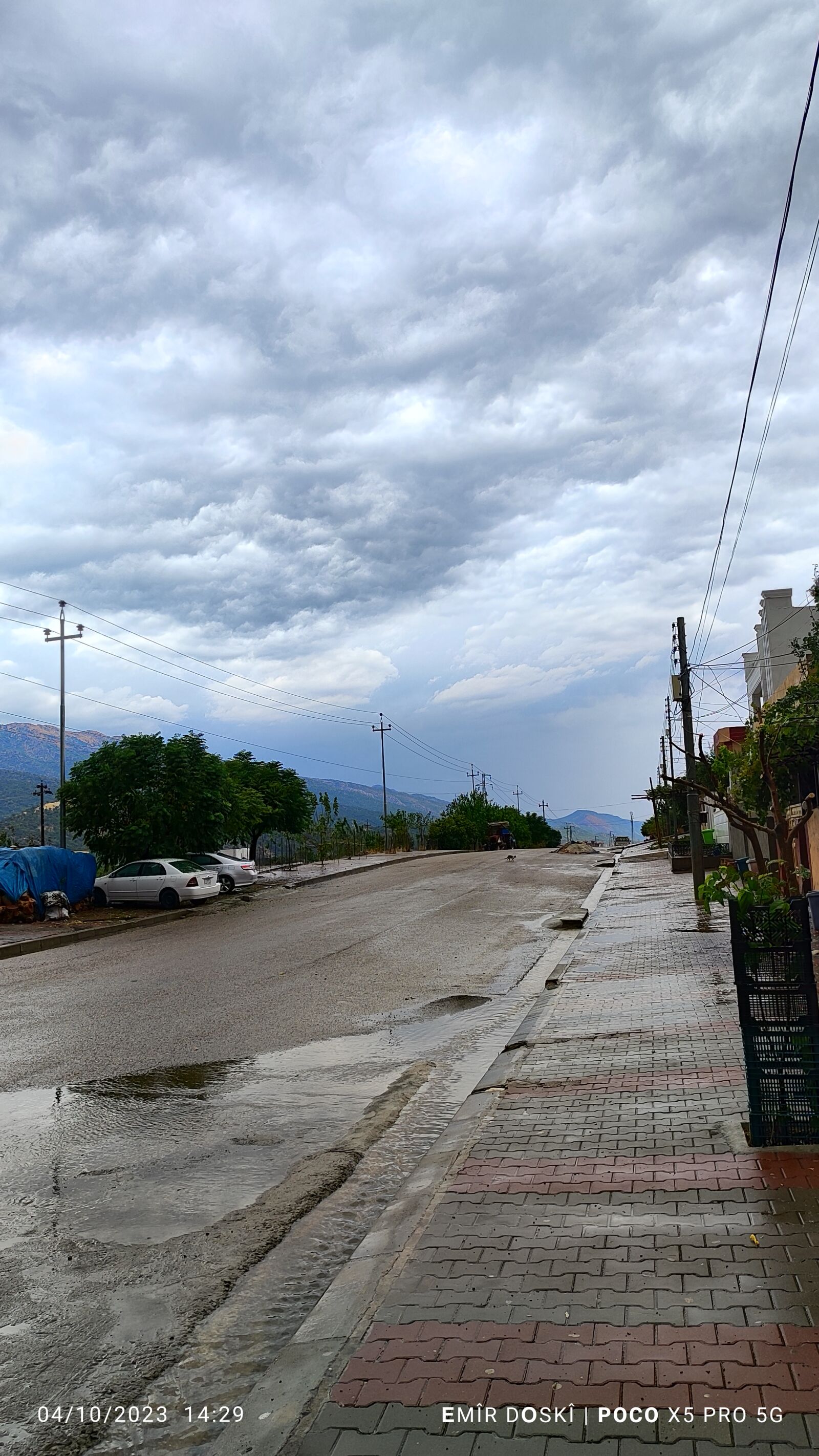 Xiaomi 22101320G sample photo. ترێژانێ photography