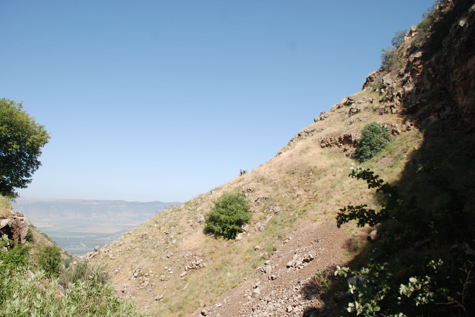 Nikon D80 sample photo. Nature, israel, mountain photography