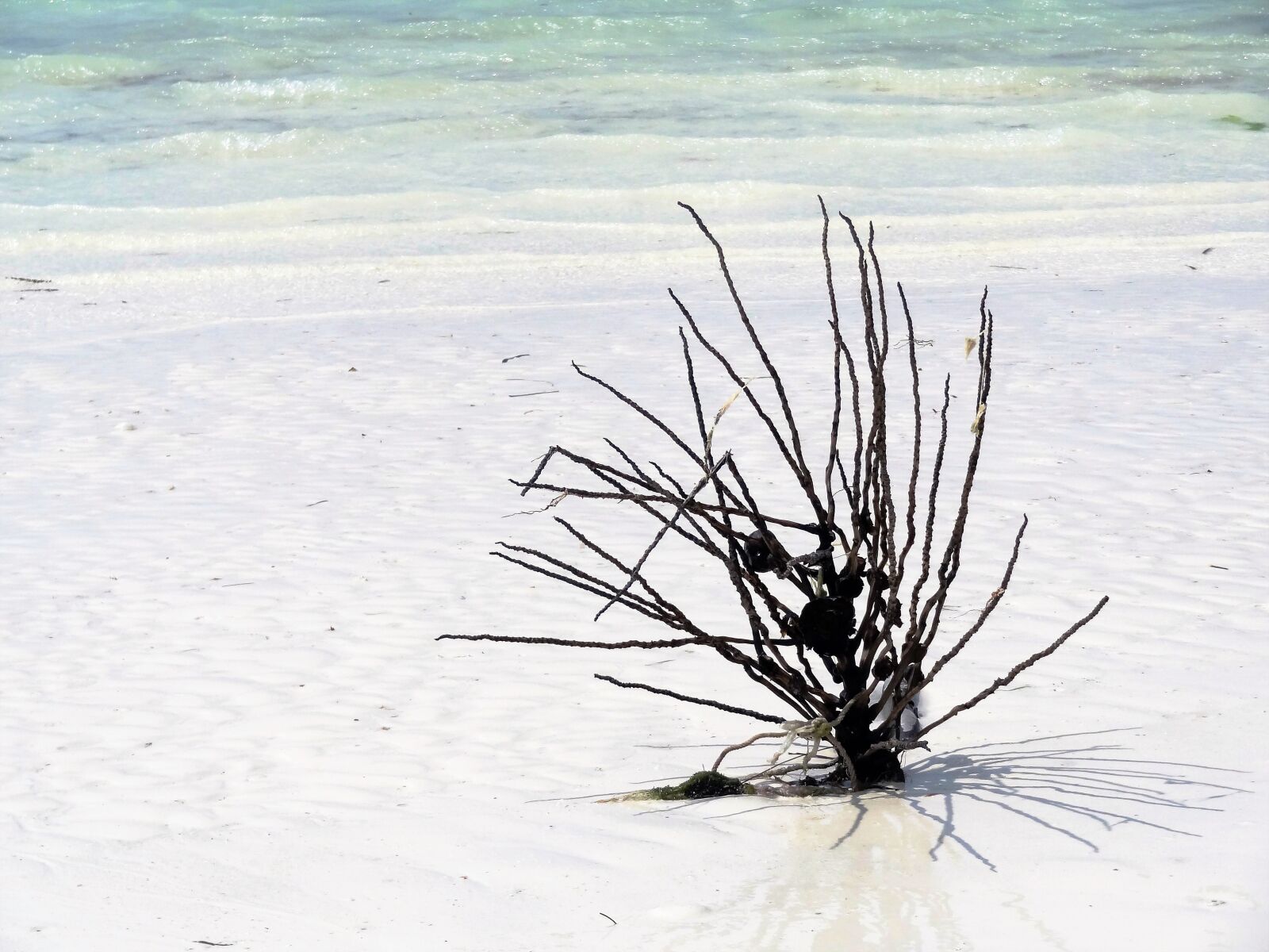 Sony Cyber-shot DSC-HX9V sample photo. Beach, sea, seaweed photography